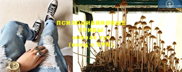 СК Аркадак