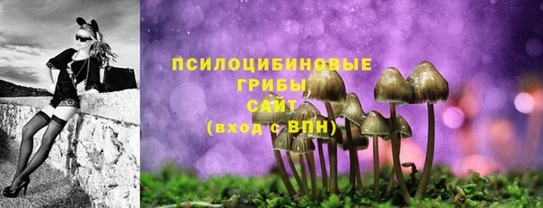 СК Аркадак