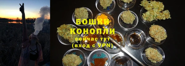 СК Аркадак