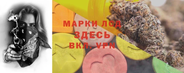 ALPHA PVP Корсаков